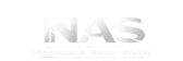 Nas mühendislik logo